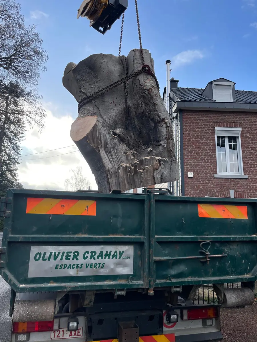Une bille de bois de fort diamètre chargée dans la remorque de l’entreprise.