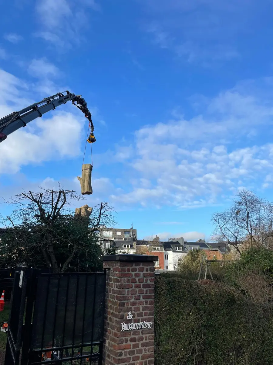 Une grue de camion soulève un tronçon de tronc au-dessus des toitures d’un quartier.